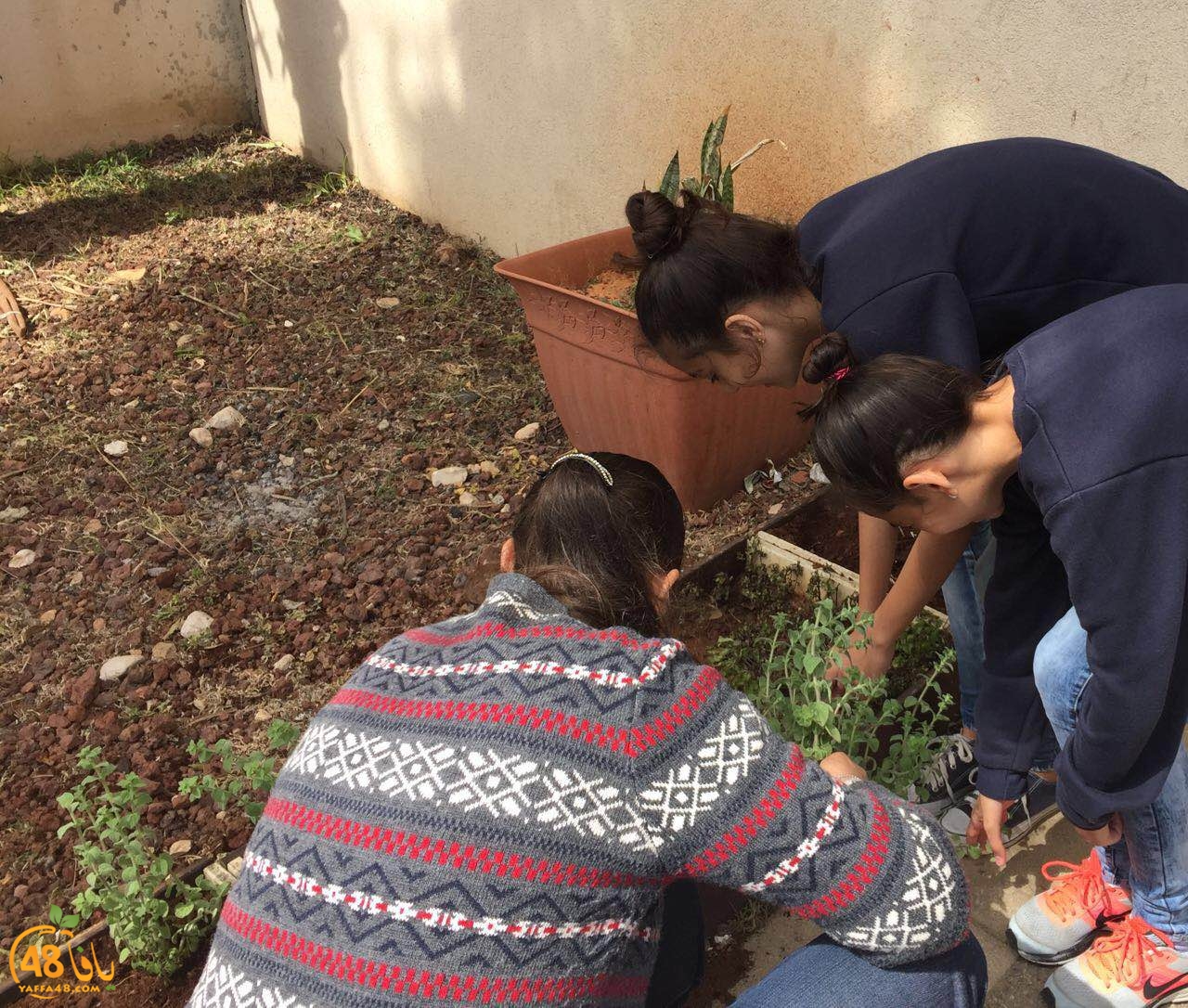 a3mal khayreiya ajyal (36).JPG